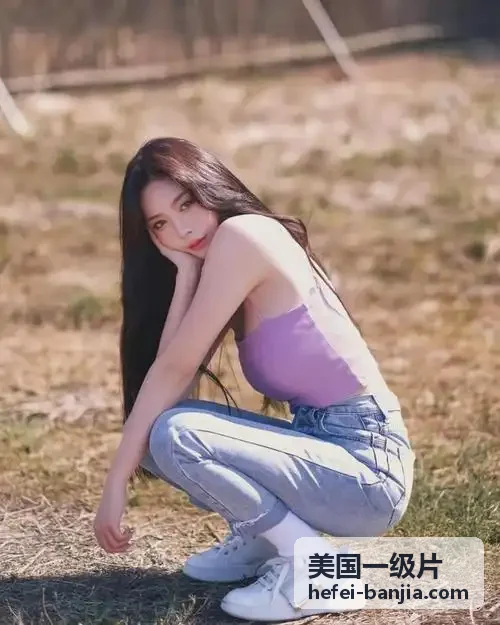美国一级片年度十佳电影评选